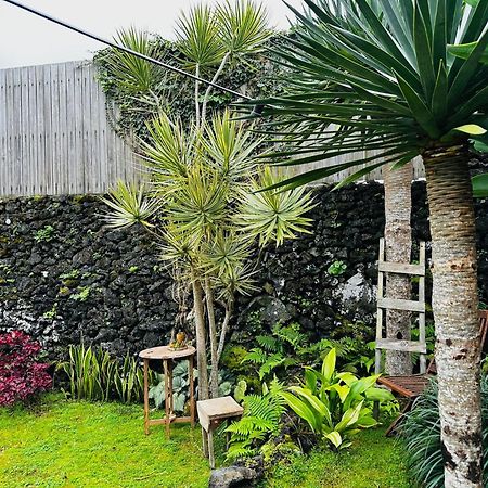Вилла Portugal House Praia do Norte Экстерьер фото