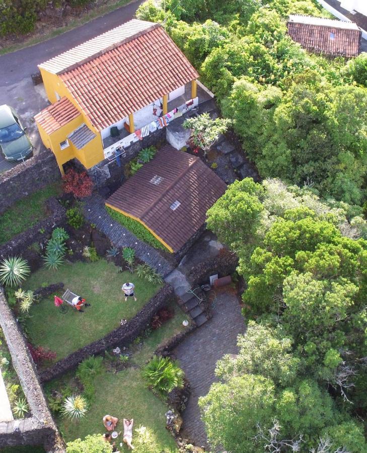 Вилла Portugal House Praia do Norte Экстерьер фото